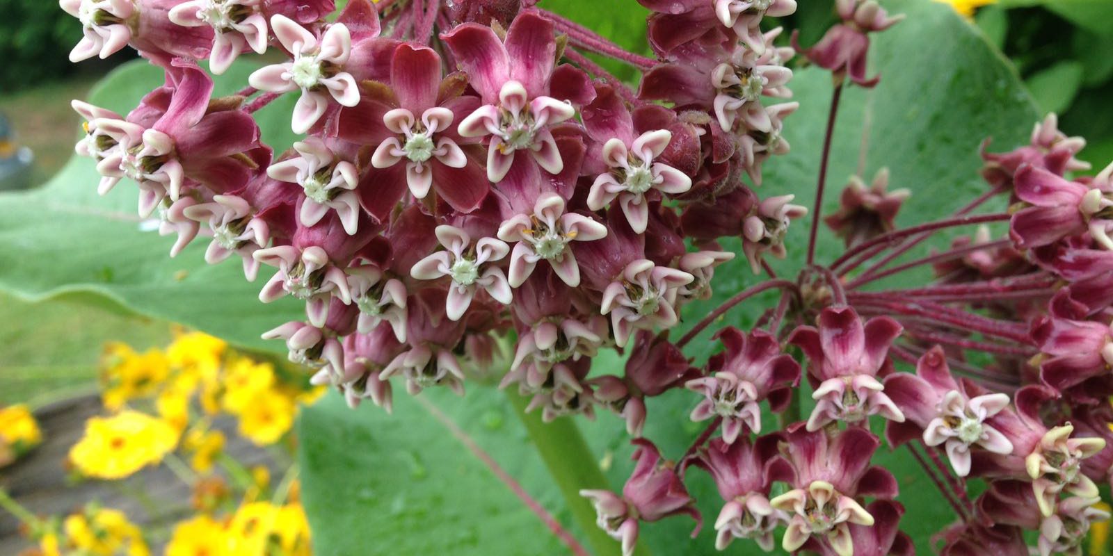 Natuur Rust Natuur Rust