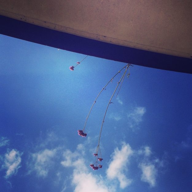 Natuur Rust Natuur Rust