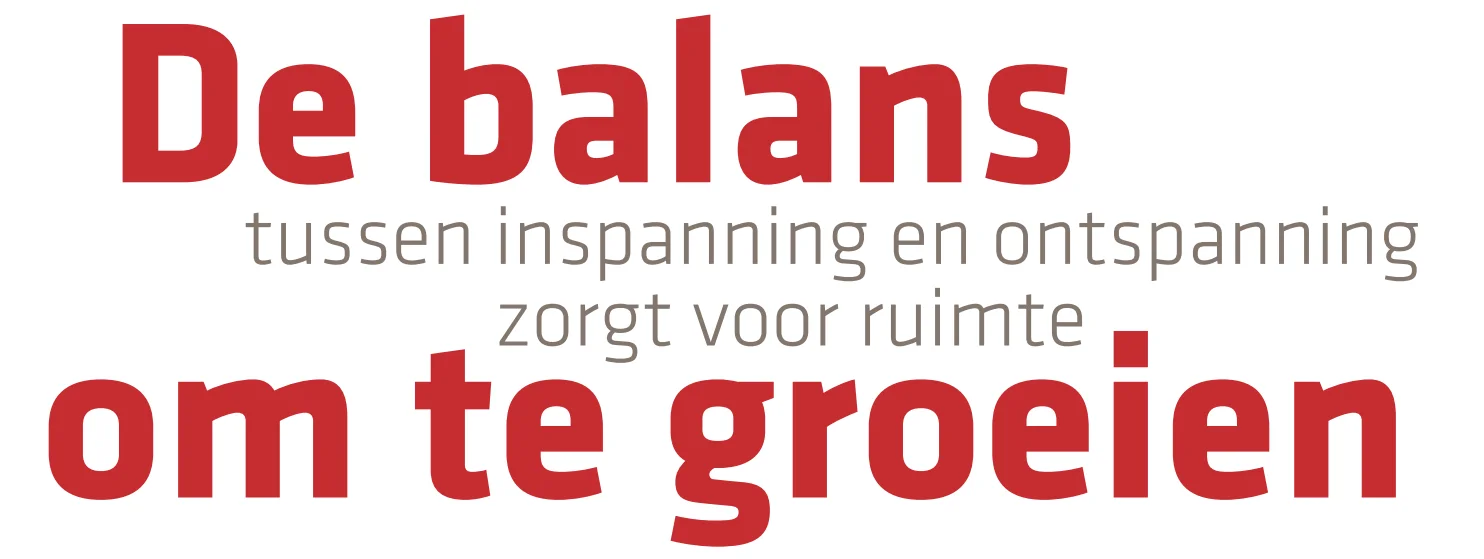 balans balans om te groeien
